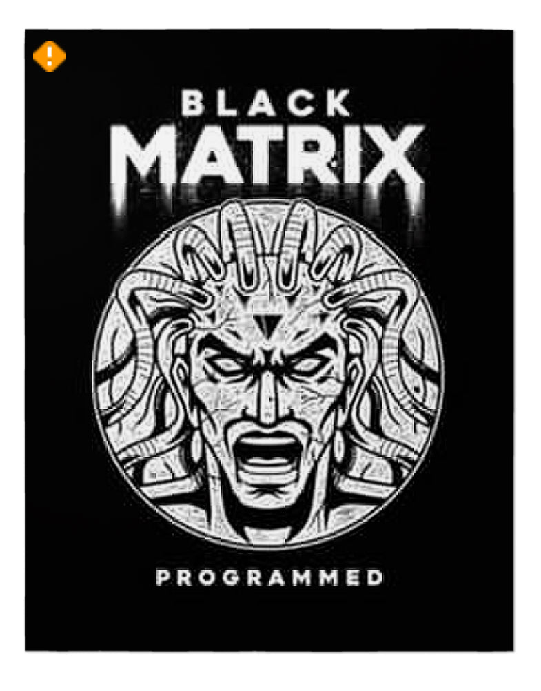 Black Matrix Premuim Poster 22 x 28 (Accessories)